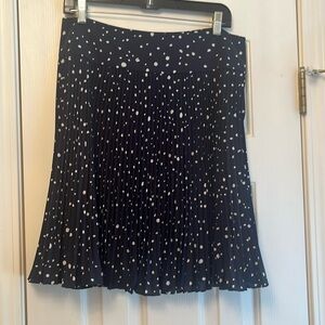 Ann Taylor Pleated Skirt